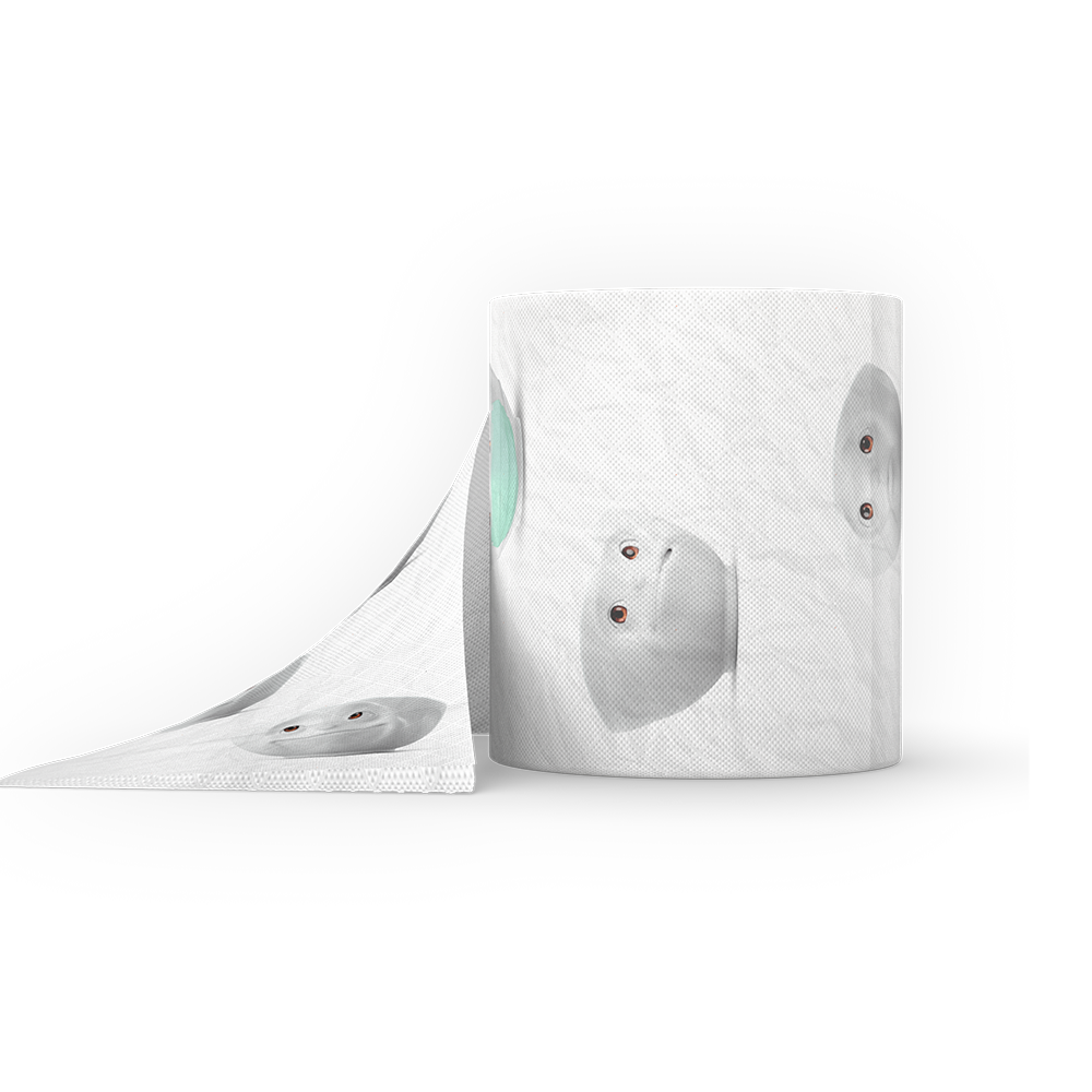 Roll of toilet paper with printed character design. Package diameter 4.3 inch, Height 4.1 inches, Weight 0.28 lbs. Single roll of soft toilet paper ships in a transparent gift box. Made in Germany according to environmental standards.