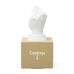 CEELINGS Light Fixture Canopy, The Handful of Light