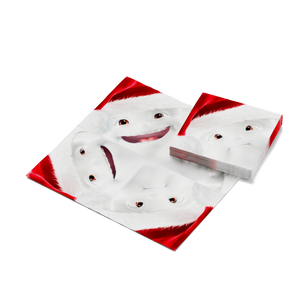 Pack of 20 disposable paper napkins in transparent packaging. Colorful paper napkins featuring zany TASSEN artwork in "Scarlet Christmas" design. 12 by 12 inches in size and Made in Germany according to environmental standards.